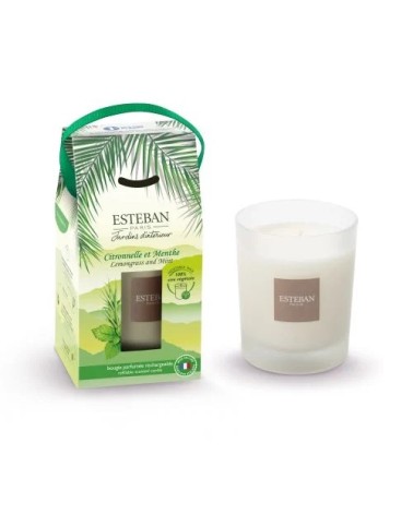 Bougie parfumée citronnelle menthe Esteban 180g